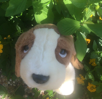 TY Beanie Baby Tracker the Basset Hound